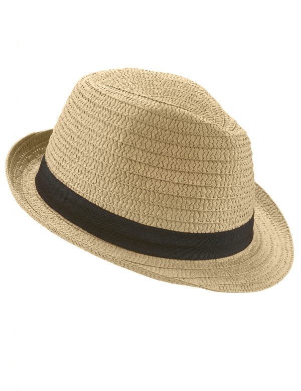 chapeau borsalino avec bande noire adulte 236265 7